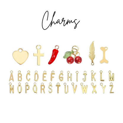 Gold Interchangeable Polaroid Car Charm